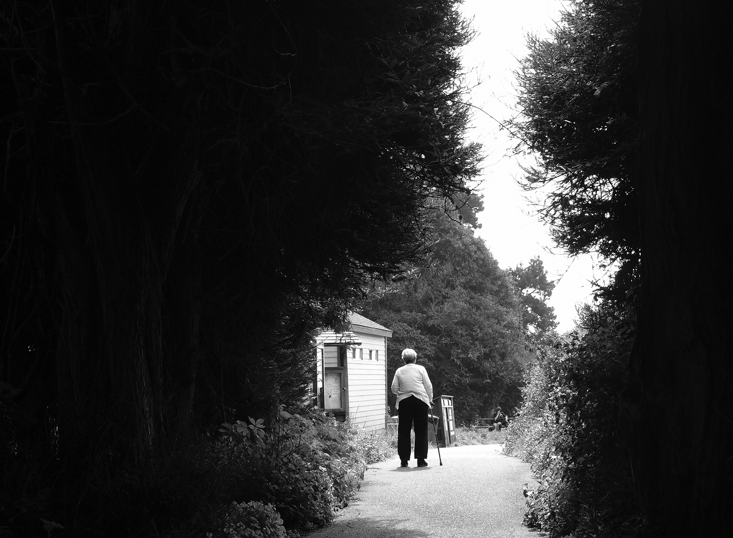 An old woman is shown from behind walking with a cane down a path at a wooded park. She is passing informational signage about the park by a small building on the left. There is a picnic table in the distance with a woman seated at it facing the camera.