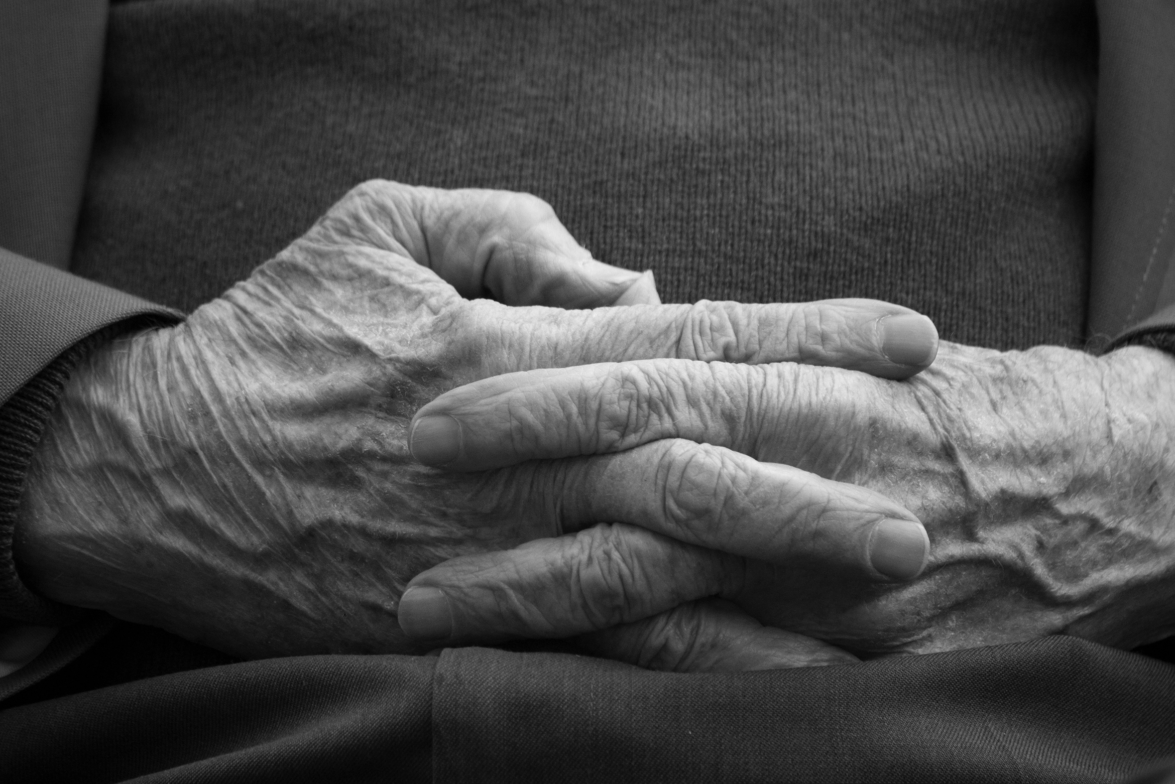 Close-up of an old man's hands with the fingers intertwined resting across his stomach. He is seated and wearing slacks with a sports coat and sweater and just his midsection is visible.