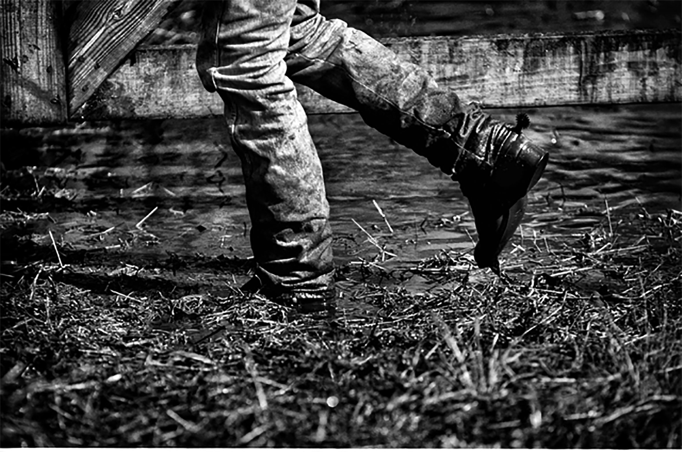 The leg’s of a person in jeans and boots walking along the ground strewn with hay