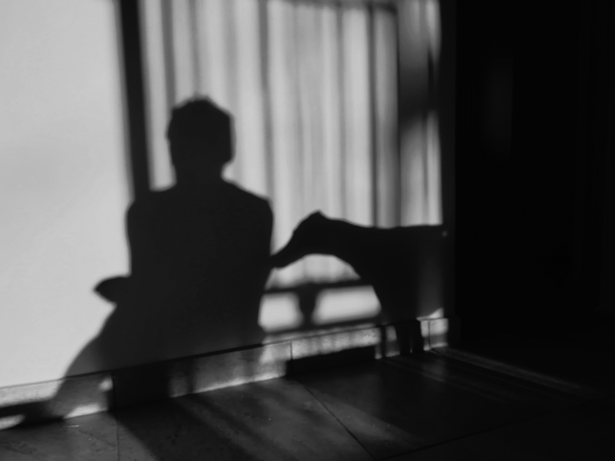 A shadow of a person sitting down can be seen on a wall. The shadow of a whippet or greyhound can be seen behind the person with the dog’s snout touching the person’s arm.