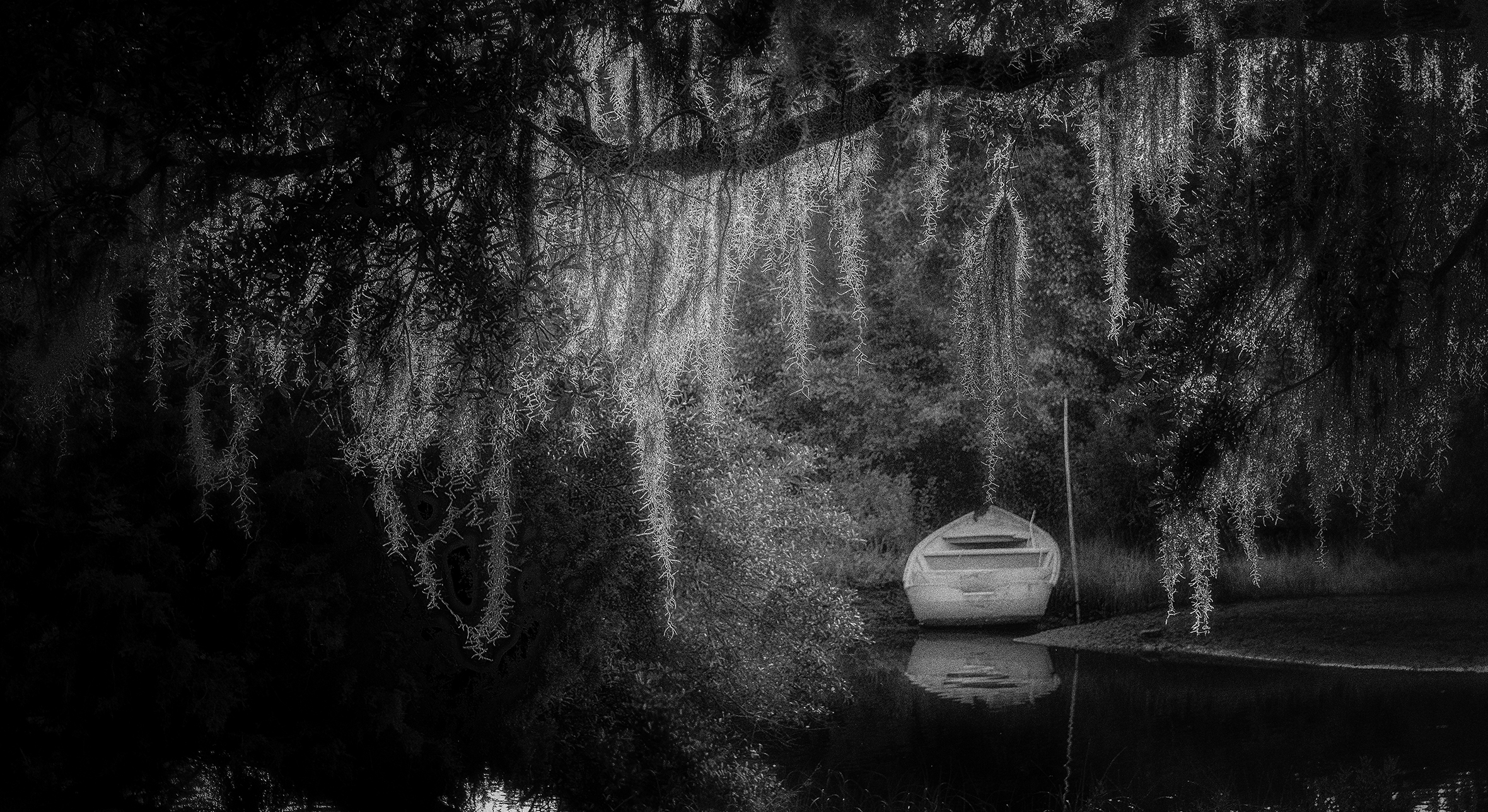 A boat in the water framed by the branches and leaves of a willow tree.