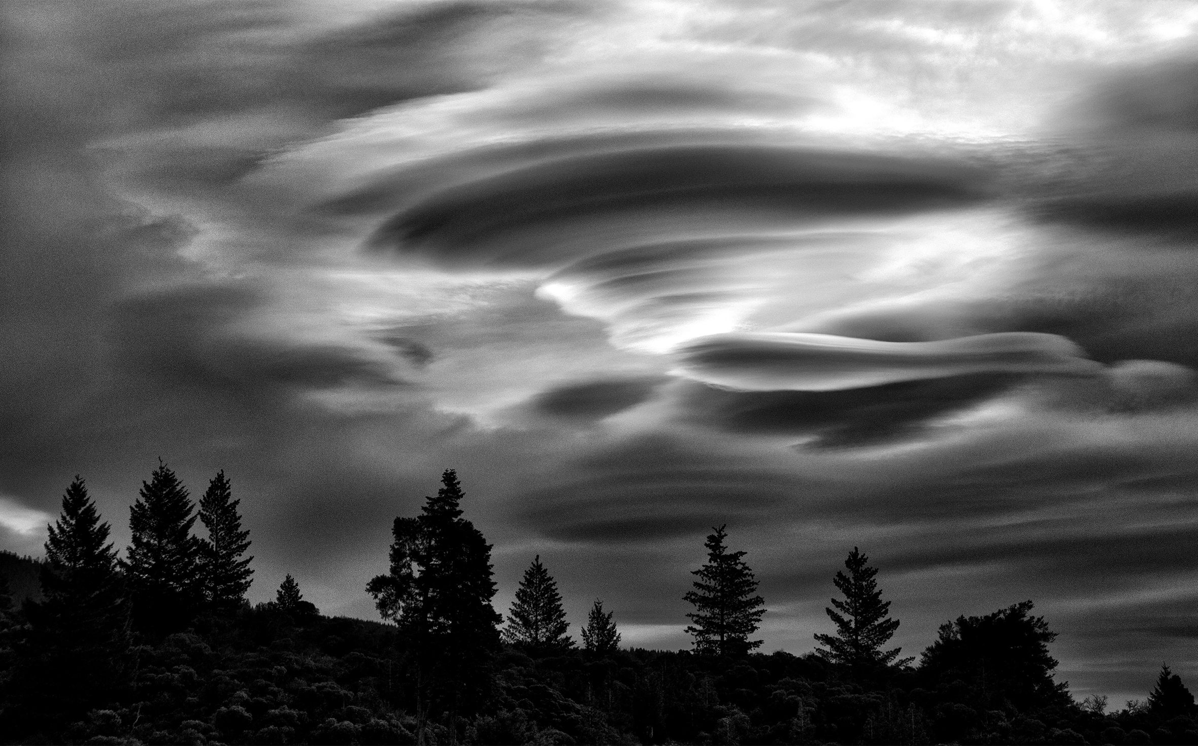 A hillside spotted with trees and dreamy, soft, swirling clouds above.