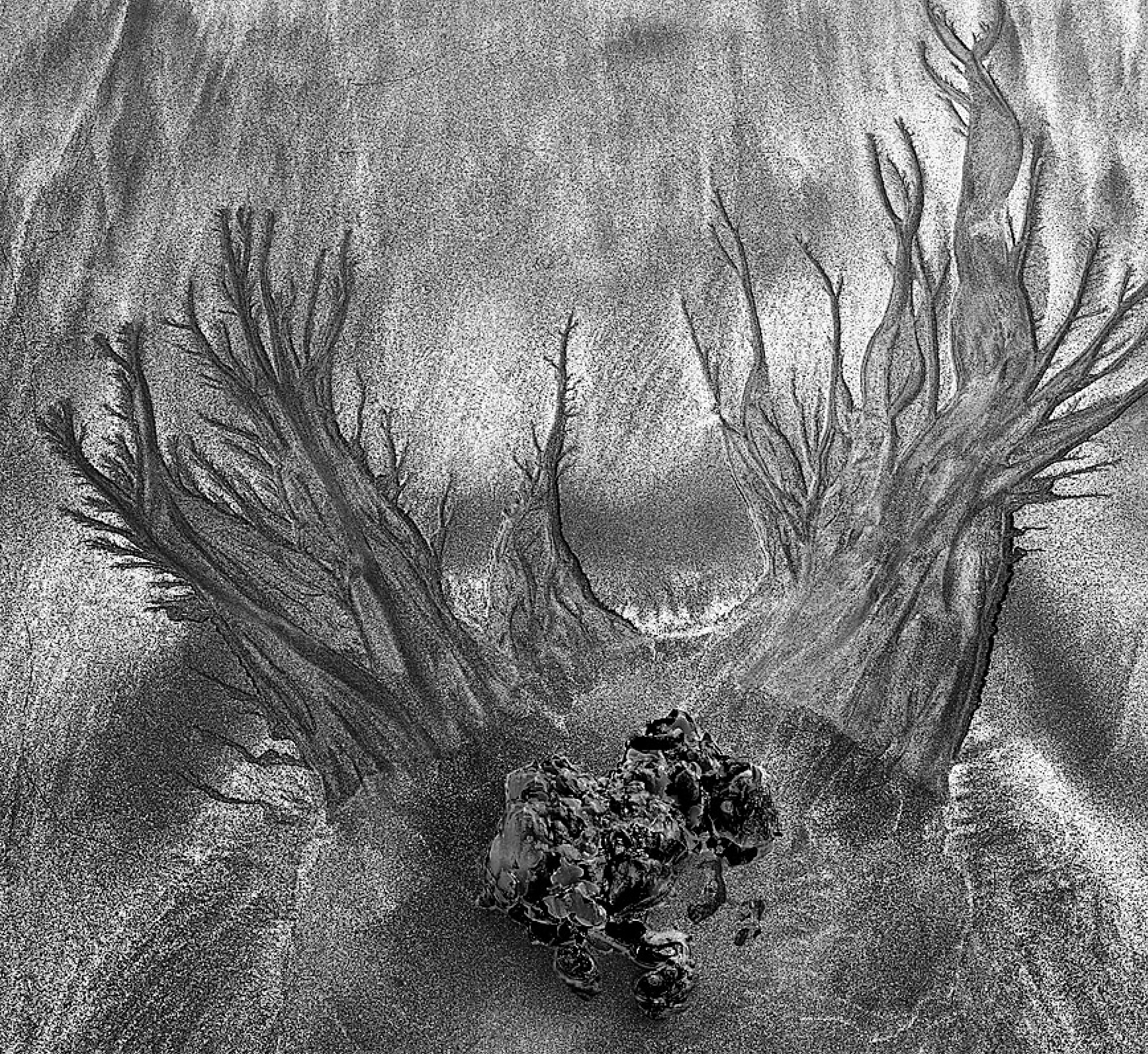 Close-up of patterns made by water in the sand around a rock formation. The branching in the tidal sand patterns is reminiscent of the branching of the dendrites of a neuron, or nerve cell.