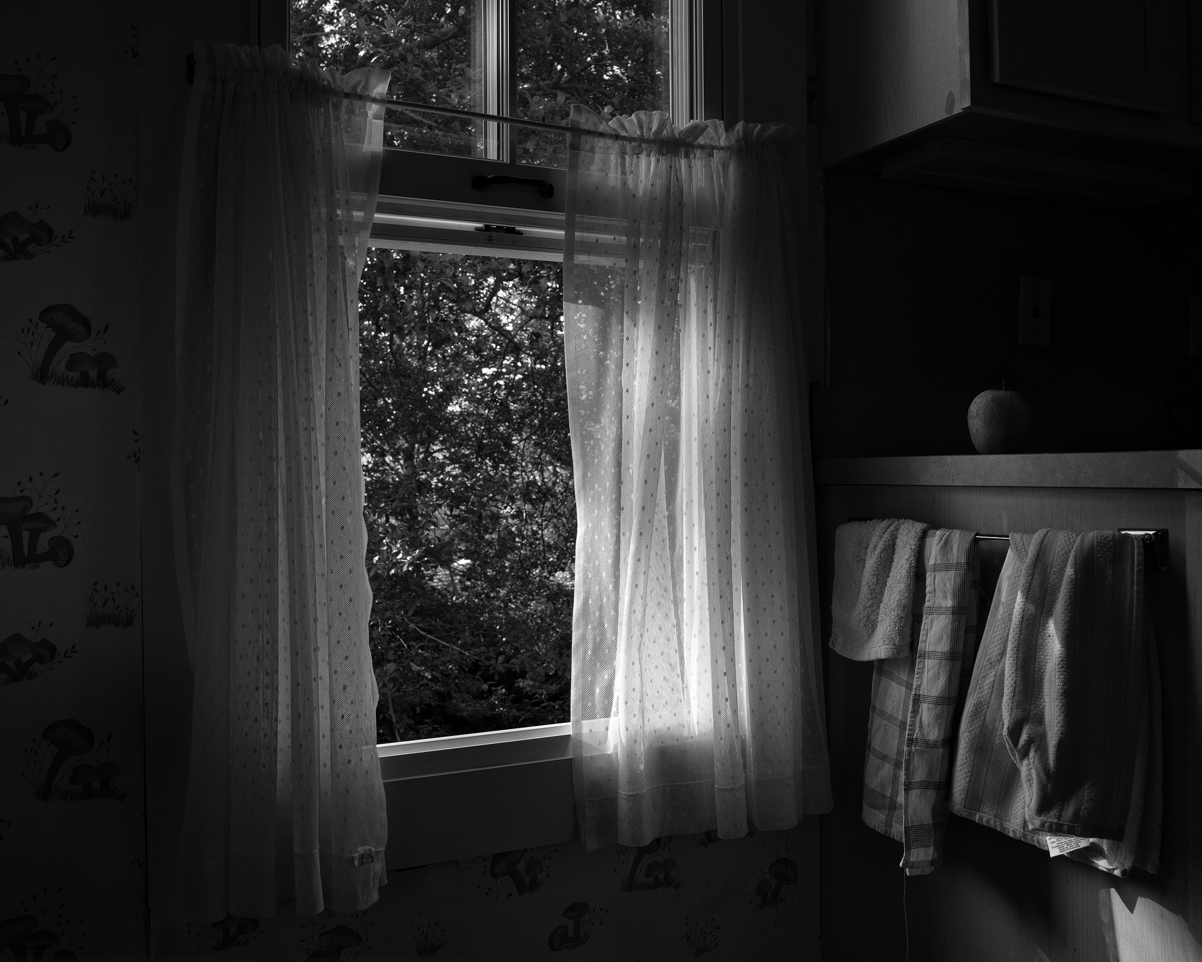 Open window with sheer, white, polka-dot café curtains next to the end of a kitchen counter with an affixed bar with kitchen towels hung on it. An apple sits on the counter at the edge with cupboards above.