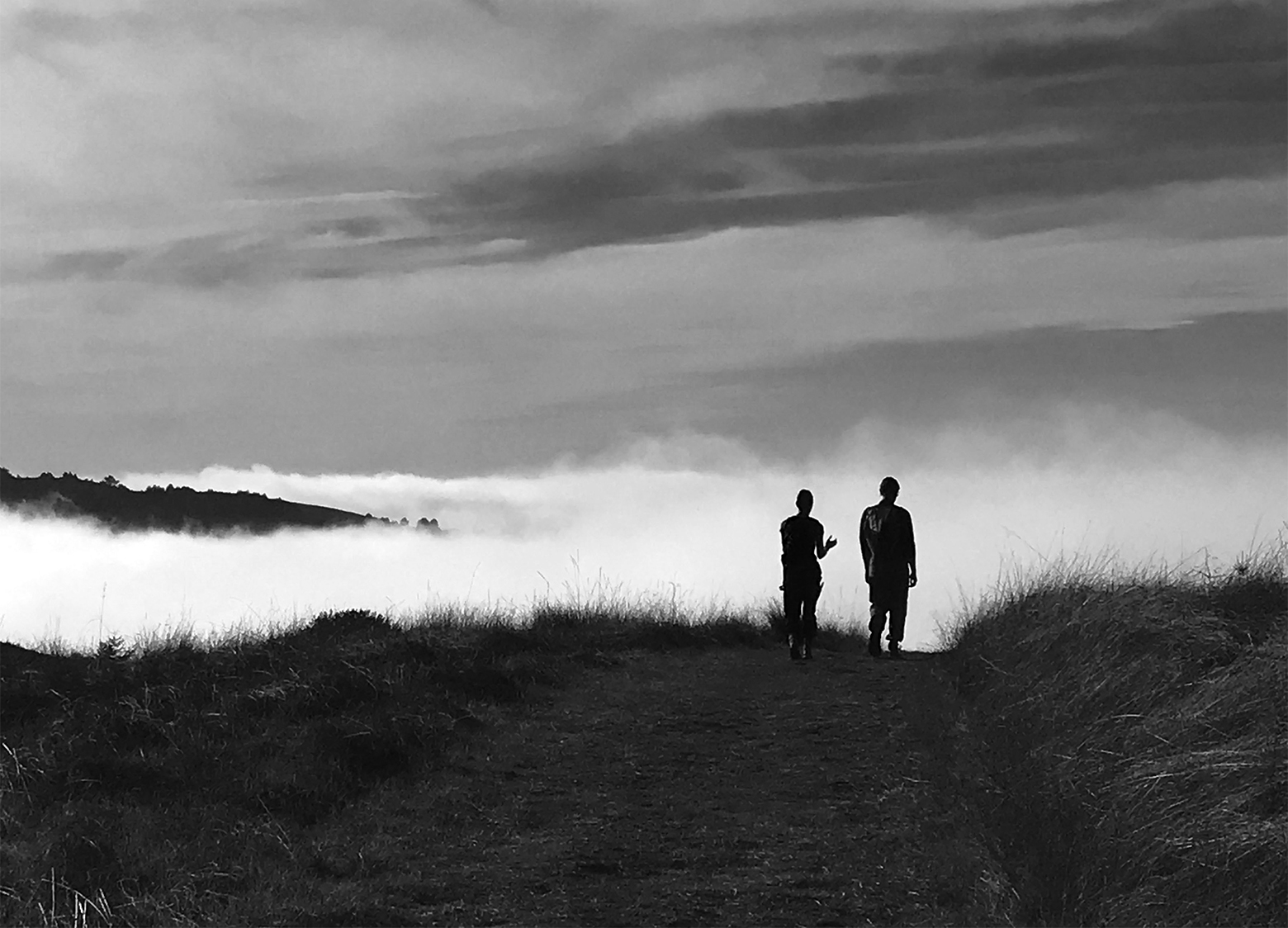 Two hikers on a path at Islands in the Sky in Sonoma Coast State Park in California on top of a hill look down on thick fog that obscures everything beyond except for another peak peeking up to their left.
