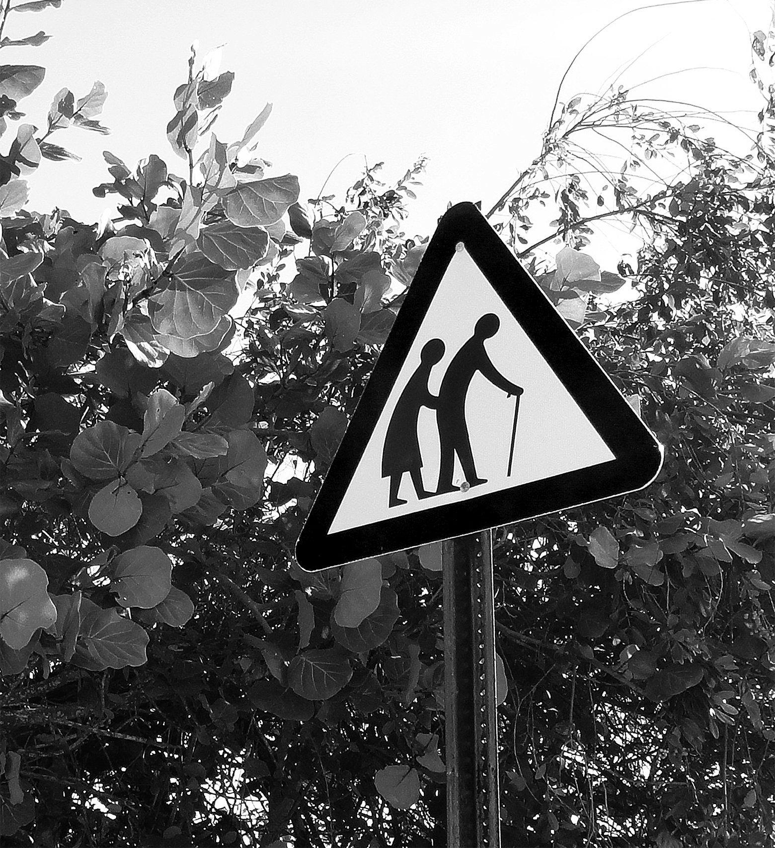 Triangular road sign in the Cayman Islands of two elderly figures walking—a woman following a man, both slightly bent forward, the man using a cane—alerting drivers to the presence of a nursing home.