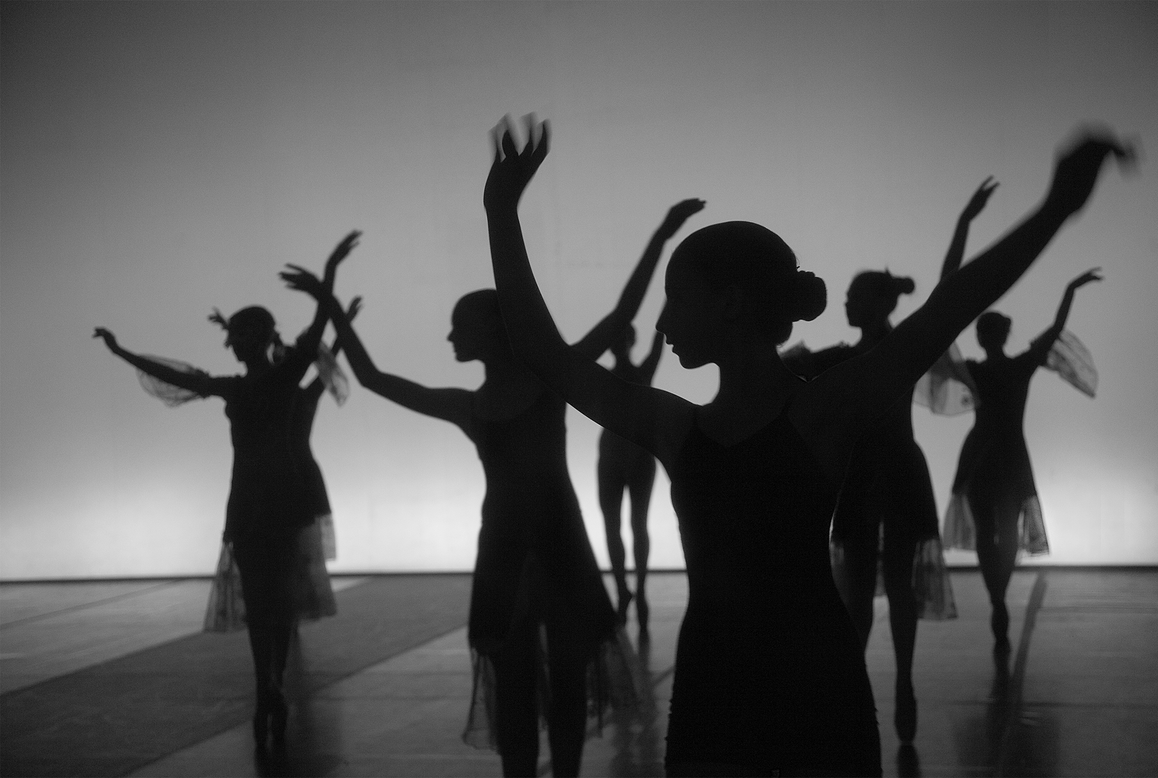 Silhouettes of female dancers en pointe with their arms raised above their heads and some with translucent belled sleeves.