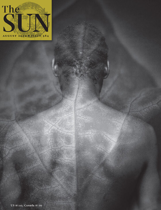 August 2024 cover of The Sun. The head and nude back and arms of a man is seen from behind with a leaf’s structure and veins superimposed upon his body. The leaf’s midrib is centered on the man’s spine traveling up past his head to the leaf’s tip.