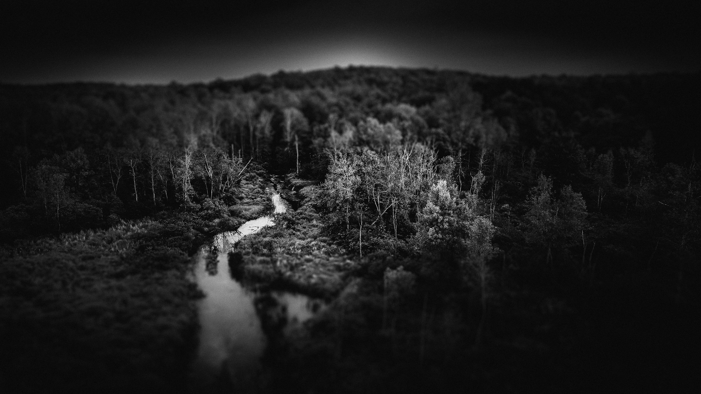 A dark, blurry wooded landscape with a river meandering through it is seen from above and shot to look like a miniature forest.