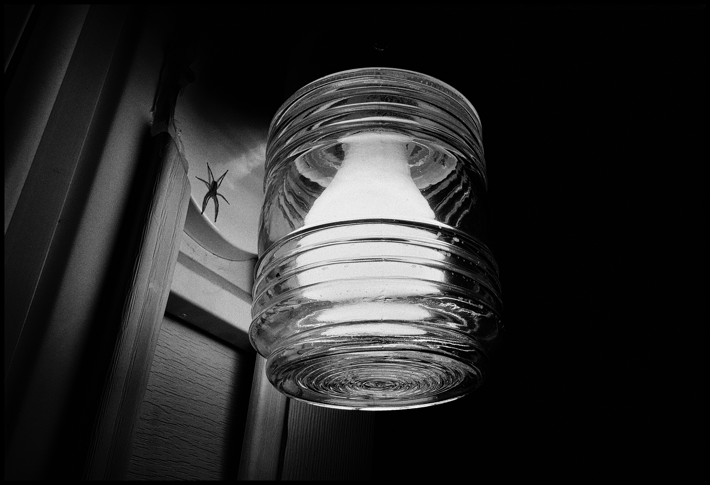 A light bulb in a small, clear-glass fixture illuminates a window of an interior room with a large dark spider on the white embellishments above the window.