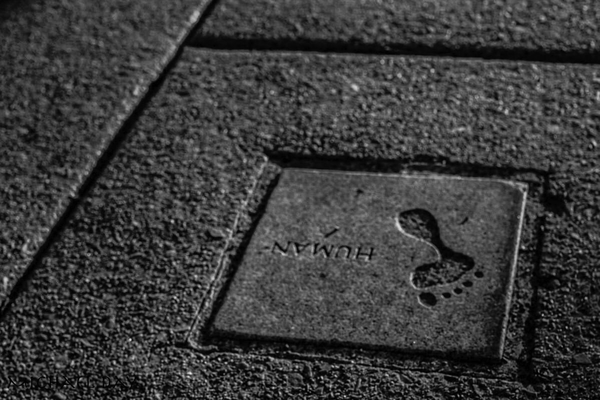 HUMAN in all capital letters next to a stylized footprint are carved into a sidewalk in Salt Lake City, Utah. The photo is displayed with the writing upside down.