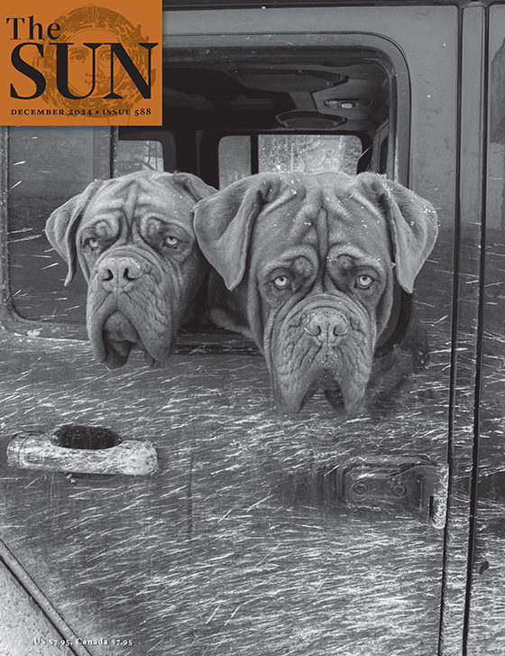 December 2024 cover of The Sun. Midge and Frank—two French mastiffs—have their heads outside of the driver’s side window of a truck while waiting at a market in Dolores, Colorado, during a snowstorm in December 2023. The snow is flying by.