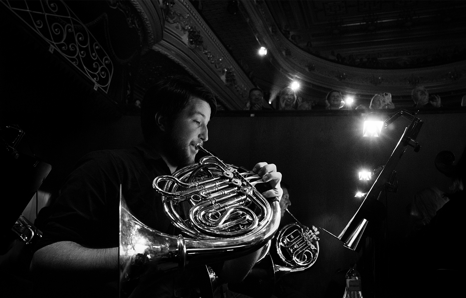 A musician plays a French horn.