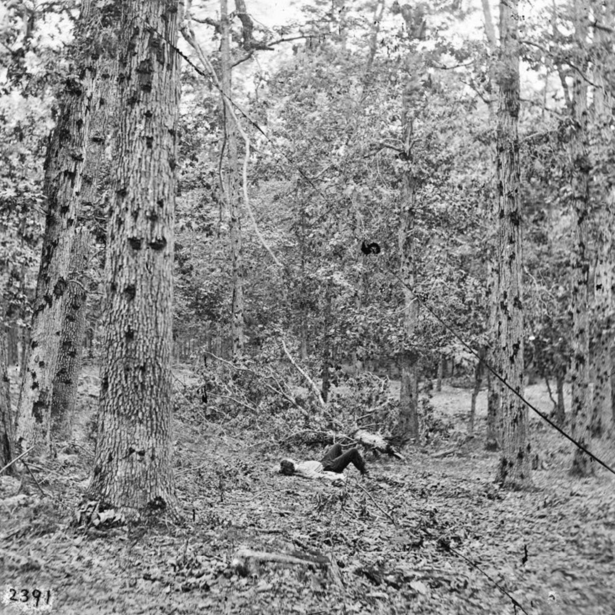 Dead soldier and shot-battered trees, Culp’s Hill, Gettysburg, 1863.