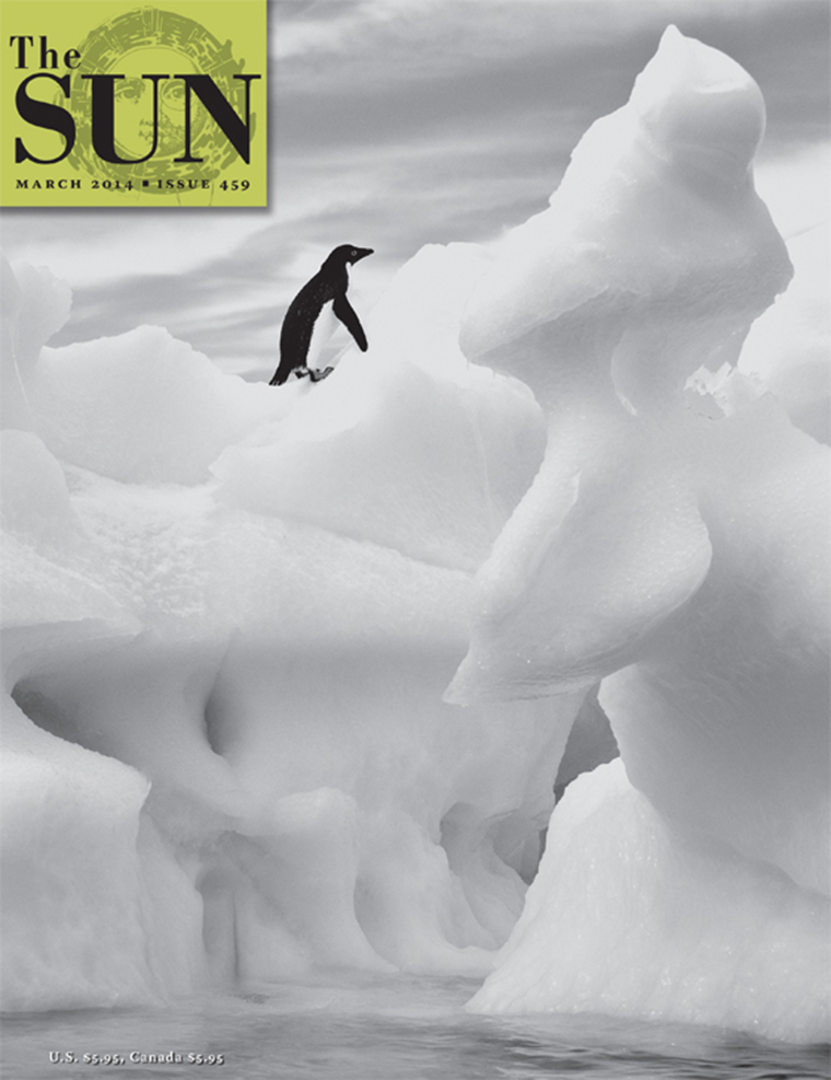 March 2014 cover of The Sun. An Adélie penguin halfway up a stunning ice formation off the shore of Paulette Island in Antarctica.