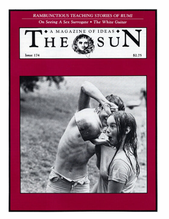 277 - Sun Cover - 174