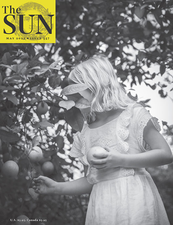 May 2022 cover of The Sun. A six-year-old girl picks lemons. Leaves obscure her face, but she has shoulder-length, blonde hair and is wearing a short-sleeved, white summer dress with eyelet detail on the bodice and sleeves.