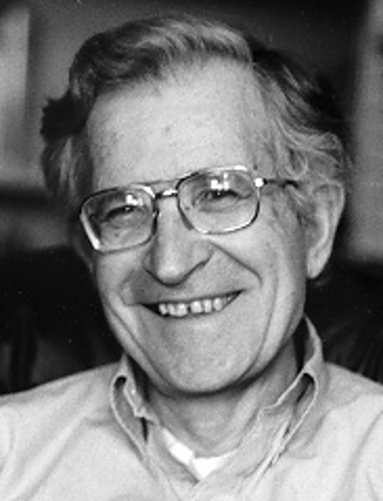352 - Noam Chomsky