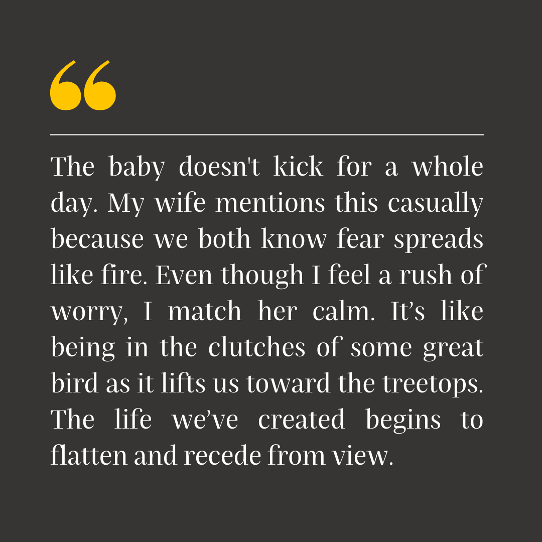 The baby doesn't kick for a whole day. My wife mentions this casually because we both know fear spreads like fire. Even though I feel a rush of worry, I match her calm. It’s like being in the clutches of some great bird as it lifts us toward the treetops.