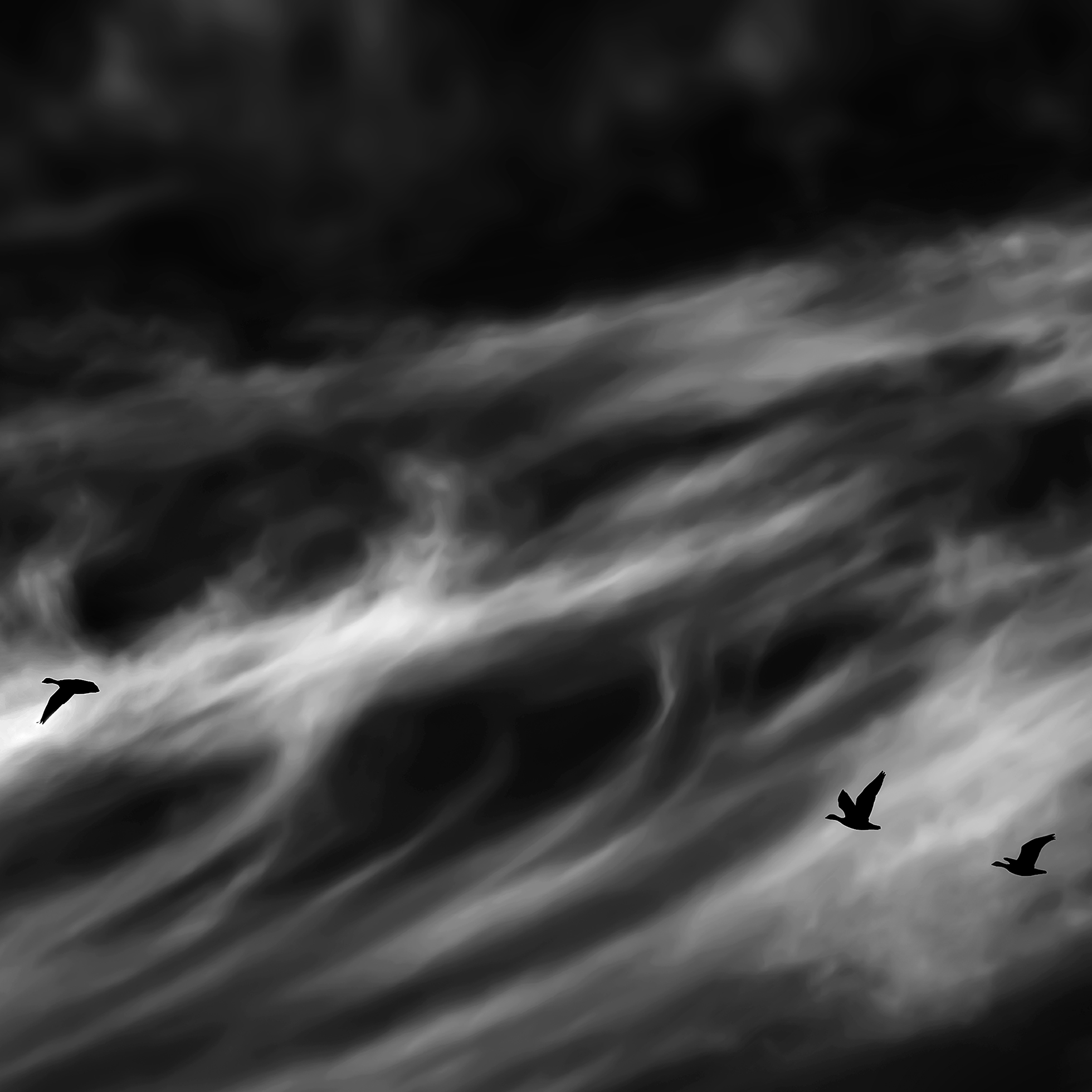 Three Canada geese fly against a backdrop of dark clouds swirled with white above Oregon's Sauvie Island. The geese are sharp, dark, small figures against the clouds. A solitary goose leads at the left edge of the photo as two trail at the right.